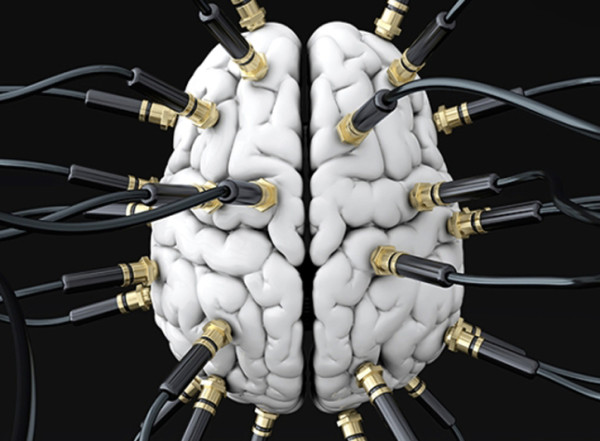 Brain-connection-traits