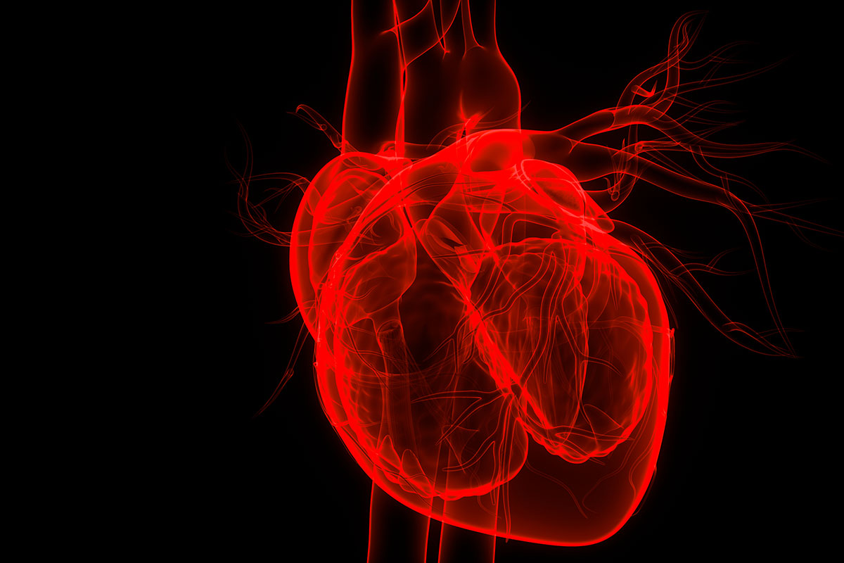 Popular heart failure drug no better than older drug in sickest patients –  Washington University School of Medicine in St. Louis