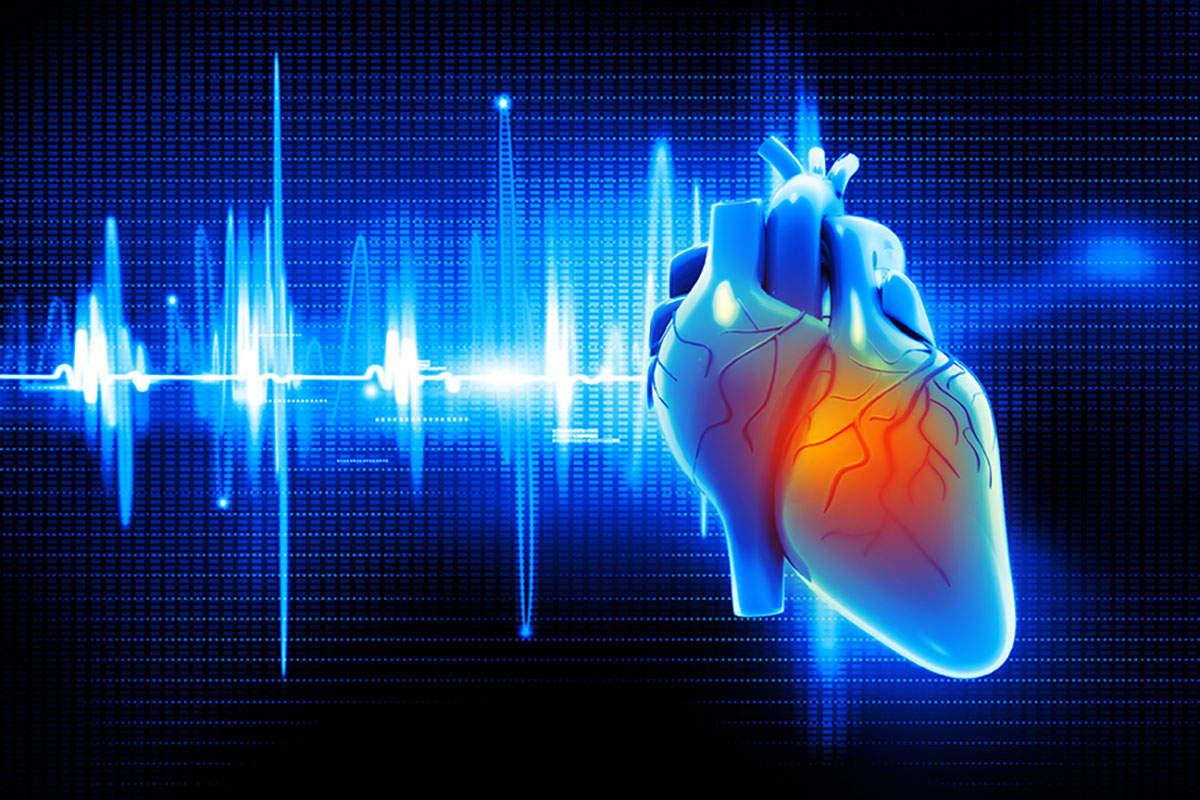 Cardiovascular inflammation, heart failure focus of $6 million grant – Washington University School of Medicine in St. Louis