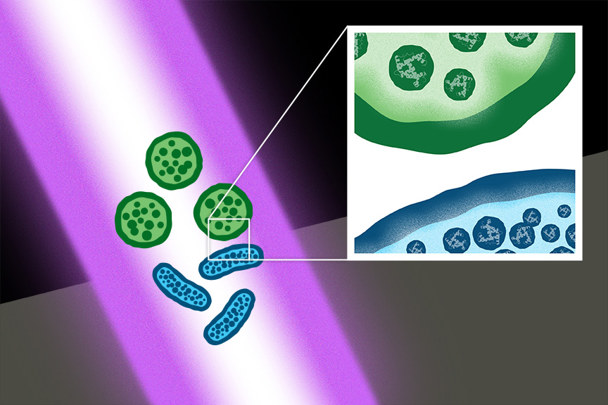 Newswise: Laser-Bacteria.jpg