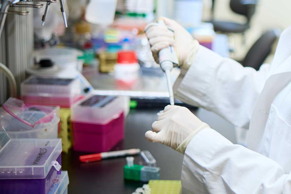 Needlemans commit $15 million to boost drug discovery – Washington ...