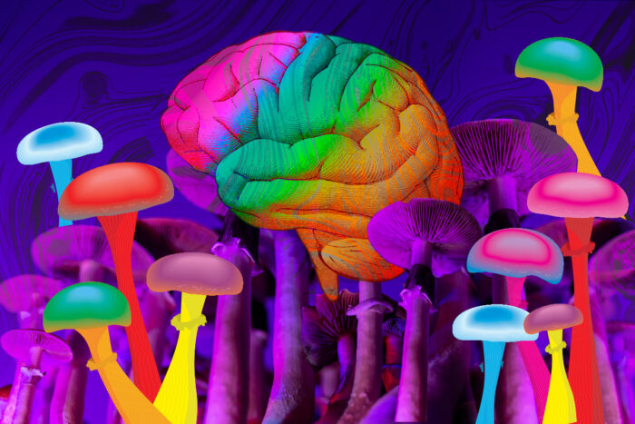 The science of psychedelics