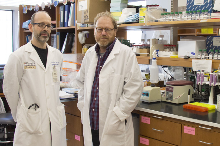 Washington University School of Medicine researchers Michael Diamond, MD, PhD, and Daved Fremont, PhD, began investigating Zika virus several months ago, after learning of birth defects and other unusual complications that appear to be related to the mosquito-borne disease.