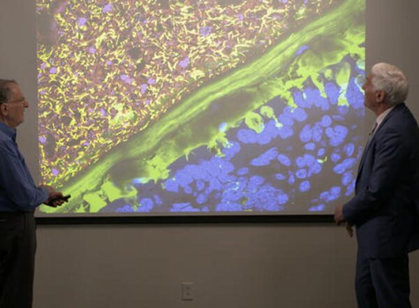 Dr. Jeff Gordon and Dr. Jon LaPook look at a snapshot of a microbiome