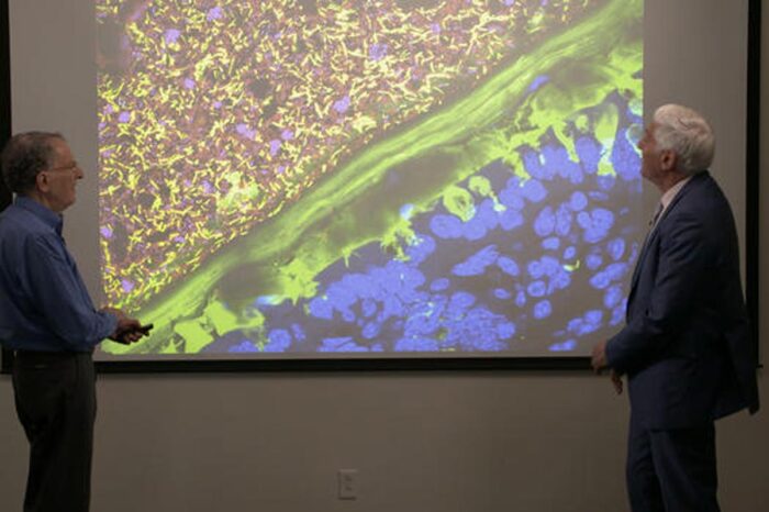Dr. Jeff Gordon and Dr. Jon LaPook look at a snapshot of a microbiome