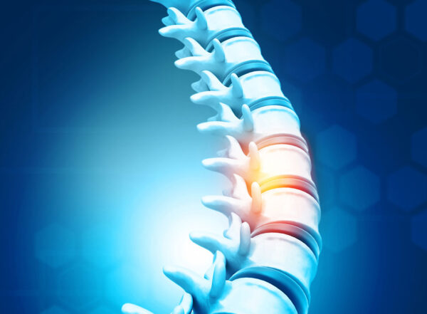 Human spine, vertebrae anatomy on science background