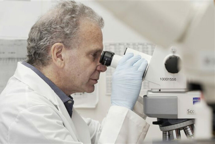 Dr. Josh Rubin looks through a scope in lab